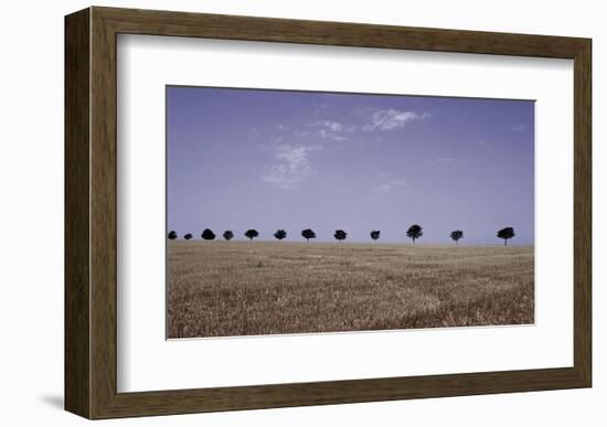 Season's Yield-Gill Copeland-Framed Art Print