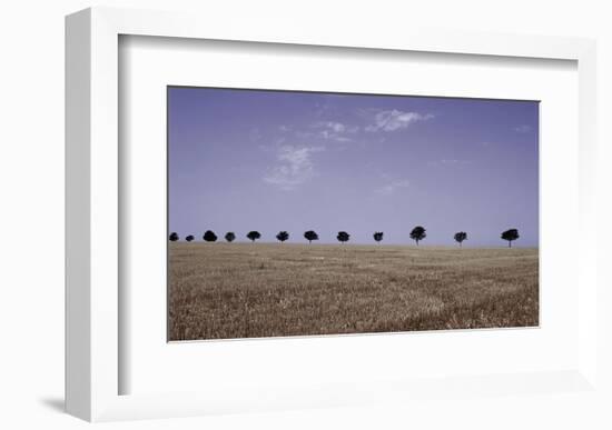 Season's Yield-Gill Copeland-Framed Art Print