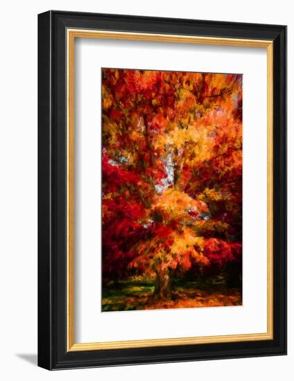 Seasonal Beauty-Philippe Sainte-Laudy-Framed Photographic Print