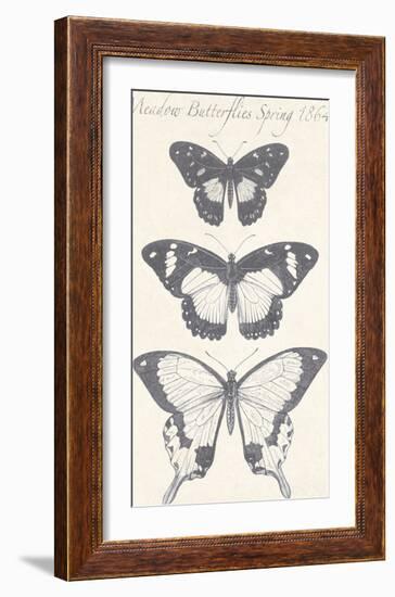 Seasonal Butterflies I-Maria Mendez-Framed Giclee Print