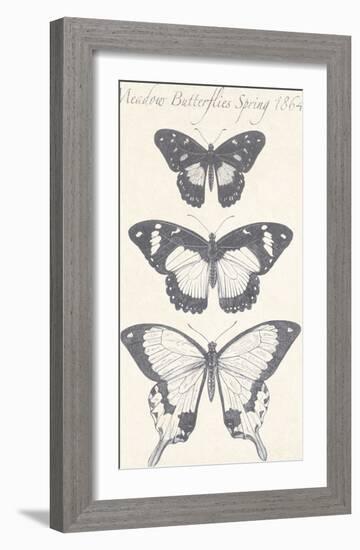 Seasonal Butterflies I-Maria Mendez-Framed Giclee Print