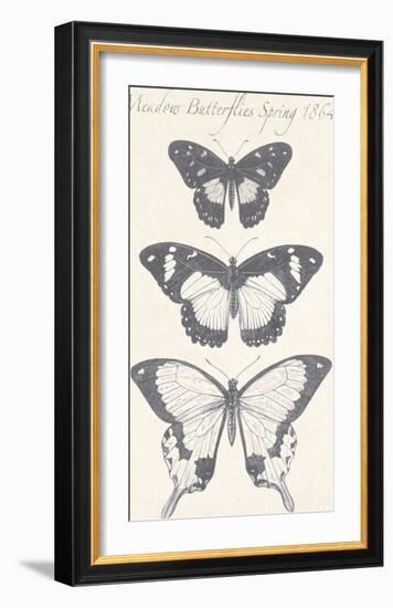 Seasonal Butterflies I-Maria Mendez-Framed Giclee Print