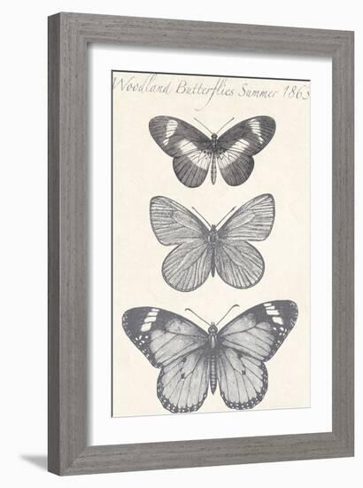 Seasonal Butterflies II-Maria Mendez-Framed Giclee Print