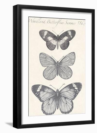 Seasonal Butterflies II-Maria Mendez-Framed Giclee Print