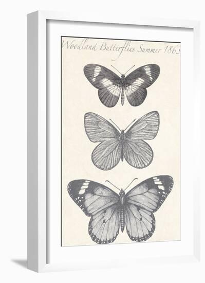 Seasonal Butterflies II-Maria Mendez-Framed Giclee Print