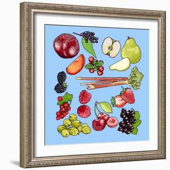 Seasonal Fruit-Claire Huntley-Framed Giclee Print