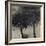 Seasonal Trees II-Susan Brown-Framed Giclee Print