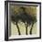 Seasonal Trees III-Susan Brown-Framed Giclee Print