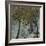 Seasonal Trees V-Susan Brown-Framed Giclee Print