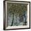 Seasonal Trees V-Susan Brown-Framed Giclee Print