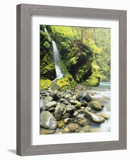 Seasonal Waterfall Near Graves Creek, Olympic National Park, Washington, USA-Stuart Westmoreland-Framed Photographic Print