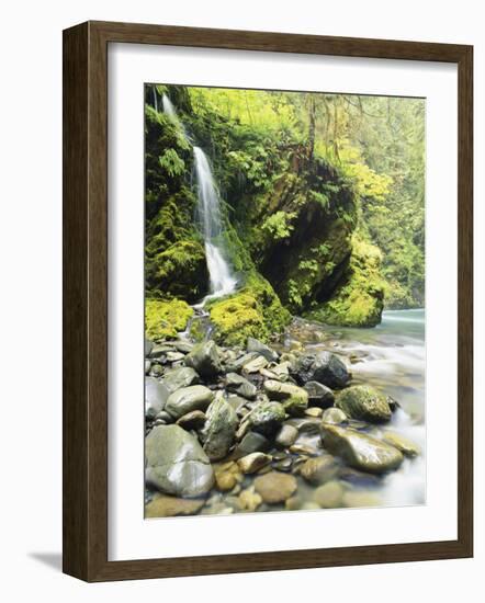 Seasonal Waterfall Near Graves Creek, Olympic National Park, Washington, USA-Stuart Westmoreland-Framed Photographic Print