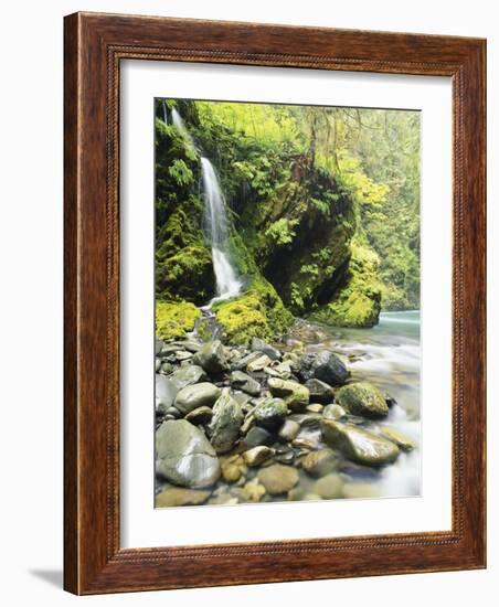 Seasonal Waterfall Near Graves Creek, Olympic National Park, Washington, USA-Stuart Westmoreland-Framed Photographic Print