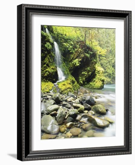 Seasonal Waterfall Near Graves Creek, Olympic National Park, Washington, USA-Stuart Westmoreland-Framed Photographic Print