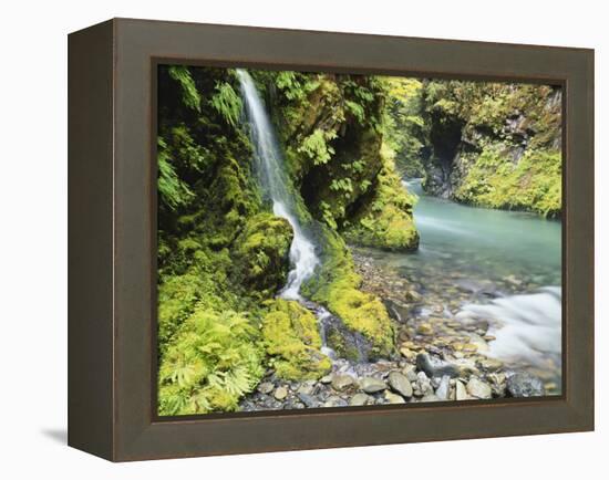 Seasonal Waterfall Near Graves Creek, Olympic National Park, Washington, USA-Stuart Westmoreland-Framed Premier Image Canvas