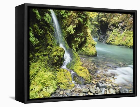 Seasonal Waterfall Near Graves Creek, Olympic National Park, Washington, USA-Stuart Westmoreland-Framed Premier Image Canvas