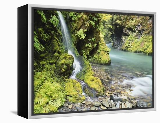 Seasonal Waterfall Near Graves Creek, Olympic National Park, Washington, USA-Stuart Westmoreland-Framed Premier Image Canvas