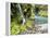 Seasonal Waterfall Near Graves Creek, Olympic National Park, Washington, USA-Stuart Westmoreland-Framed Premier Image Canvas