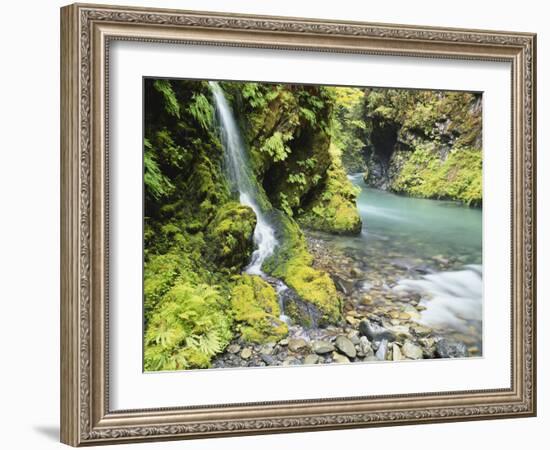 Seasonal Waterfall Near Graves Creek, Olympic National Park, Washington, USA-Stuart Westmoreland-Framed Photographic Print