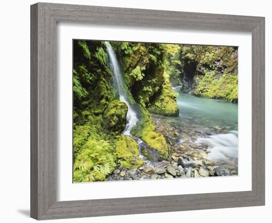 Seasonal Waterfall Near Graves Creek, Olympic National Park, Washington, USA-Stuart Westmoreland-Framed Photographic Print