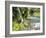 Seasonal Waterfall Near Graves Creek, Olympic National Park, Washington, USA-Stuart Westmoreland-Framed Photographic Print