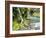 Seasonal Waterfall Near Graves Creek, Olympic National Park, Washington, USA-Stuart Westmoreland-Framed Photographic Print