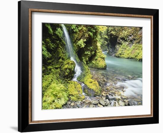 Seasonal Waterfall Near Graves Creek, Olympic National Park, Washington, USA-Stuart Westmoreland-Framed Photographic Print