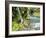 Seasonal Waterfall Near Graves Creek, Olympic National Park, Washington, USA-Stuart Westmoreland-Framed Photographic Print