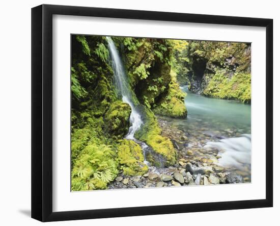 Seasonal Waterfall Near Graves Creek, Olympic National Park, Washington, USA-Stuart Westmoreland-Framed Photographic Print