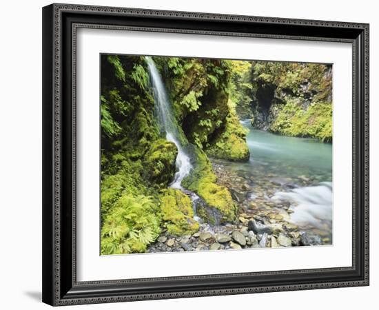 Seasonal Waterfall Near Graves Creek, Olympic National Park, Washington, USA-Stuart Westmoreland-Framed Photographic Print