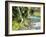 Seasonal Waterfall Near Graves Creek, Olympic National Park, Washington, USA-Stuart Westmoreland-Framed Photographic Print