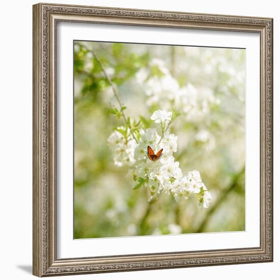 Seasons Change-Philippe Sainte-Laudy-Framed Photographic Print