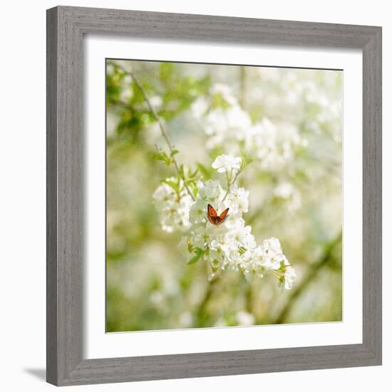 Seasons Change-Philippe Sainte-Laudy-Framed Photographic Print