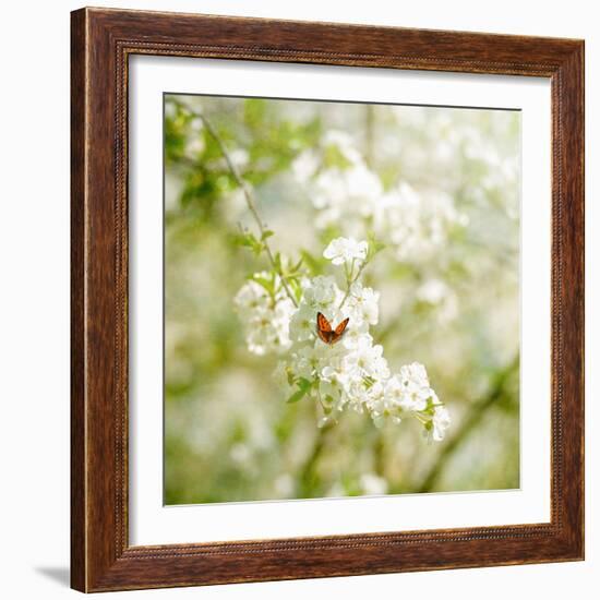 Seasons Change-Philippe Sainte-Laudy-Framed Photographic Print