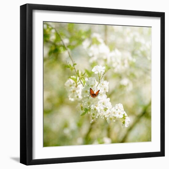 Seasons Change-Philippe Sainte-Laudy-Framed Photographic Print