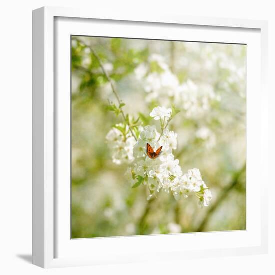 Seasons Change-Philippe Sainte-Laudy-Framed Photographic Print