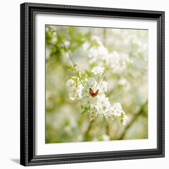 Seasons Change-Philippe Sainte-Laudy-Framed Photographic Print