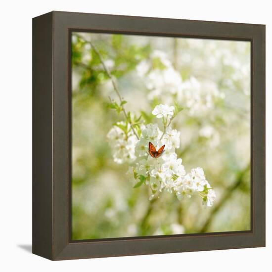 Seasons Change-Philippe Sainte-Laudy-Framed Premier Image Canvas