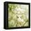 Seasons Change-Philippe Sainte-Laudy-Framed Premier Image Canvas