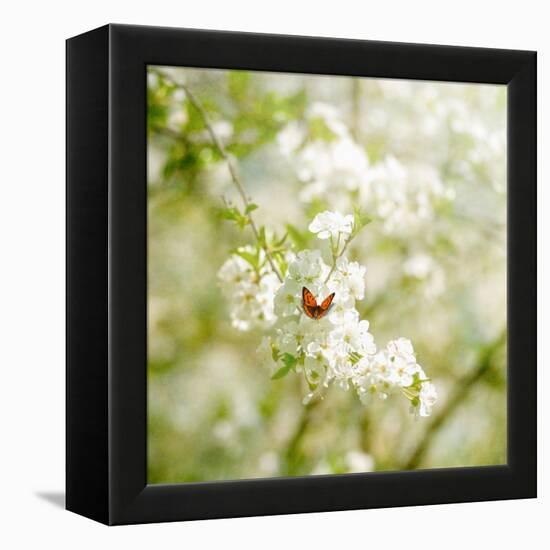 Seasons Change-Philippe Sainte-Laudy-Framed Premier Image Canvas