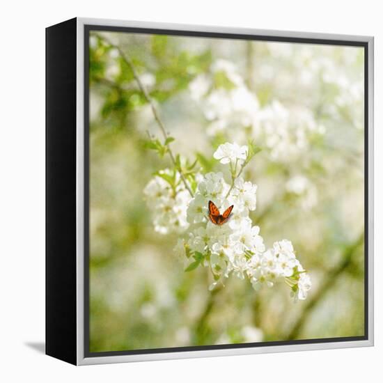 Seasons Change-Philippe Sainte-Laudy-Framed Premier Image Canvas