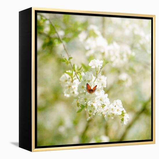 Seasons Change-Philippe Sainte-Laudy-Framed Premier Image Canvas