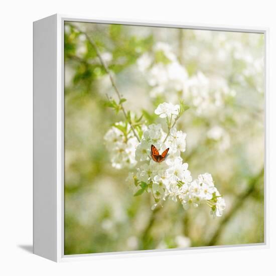 Seasons Change-Philippe Sainte-Laudy-Framed Premier Image Canvas