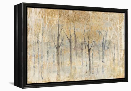 Seasons End Gold-Avery Tillmon-Framed Stretched Canvas