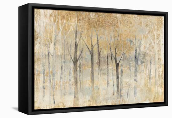 Seasons End Gold-Avery Tillmon-Framed Stretched Canvas