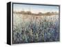 Seasons End-Tim O'toole-Framed Premier Image Canvas