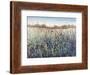 Seasons End-Tim O'toole-Framed Giclee Print