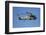 Seasprite Helicopter (Kaman SH 2G Seasprite) Airshow-David Wall-Framed Photographic Print