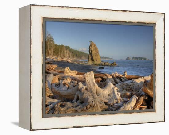 Seastack and James Island, Rialto Beach, Olympic National Park, Washington, USA-Jamie & Judy Wild-Framed Premier Image Canvas