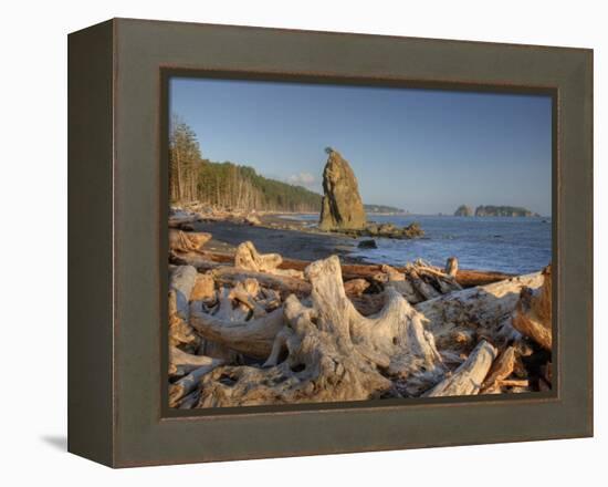 Seastack and James Island, Rialto Beach, Olympic National Park, Washington, USA-Jamie & Judy Wild-Framed Premier Image Canvas